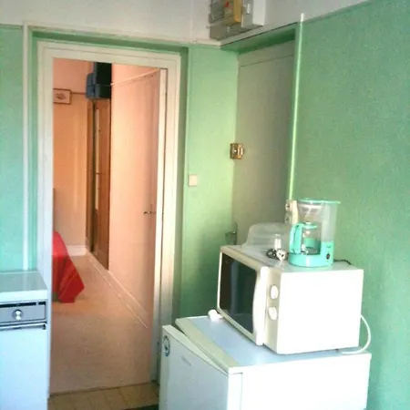 Appartement D'Une Chambre A La Bourboule Avec Magnifique Vue Sur La Montagne Jardin Clos Et Wifi A 12 Km Des Pistes *