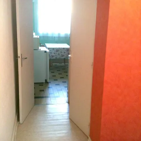 Appartement D'Une Chambre A La Bourboule Avec Magnifique Vue Sur La Montagne Jardin Clos Et Wifi A 12 Km Des Pistes
